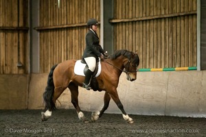 Isis Dressage Crown Farm Show 29th April 2012